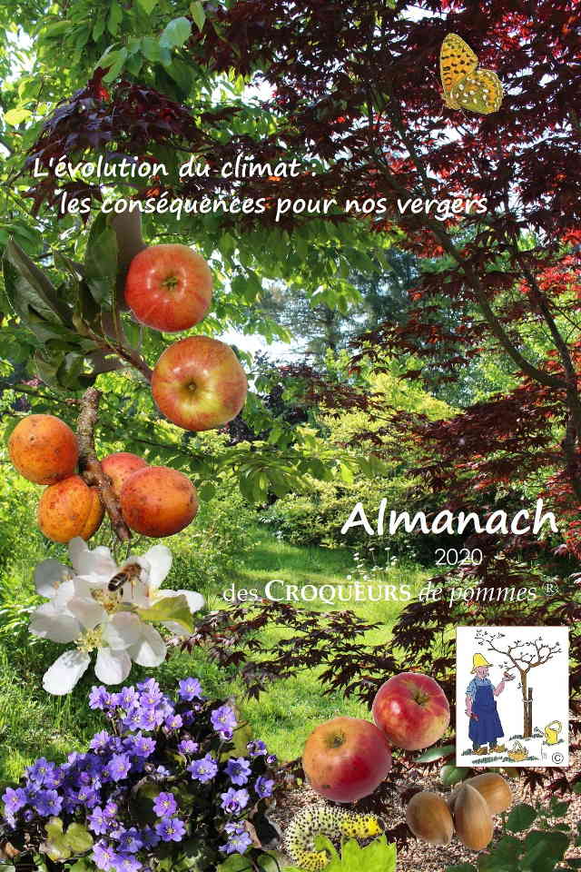 Almanach 2019 Couv presentation