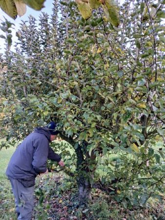 2 20241113 161452632 iOS On débute