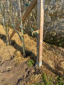 20250305 145448456 iOS eau robinet palissage