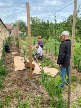 cartonage paillage