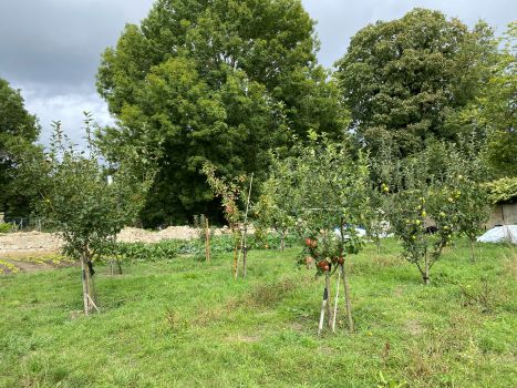 20250910 120719635 iOS