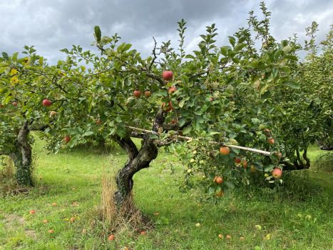 20250910 120744989 iOS