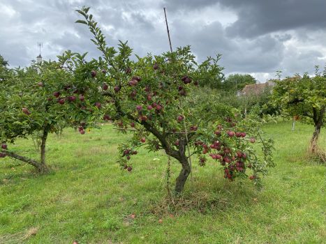 20250910 122708729 iOS