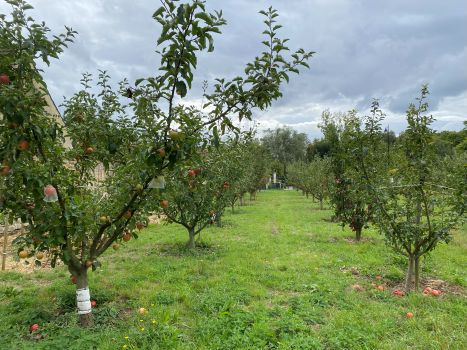 20250910 135347813 iOS