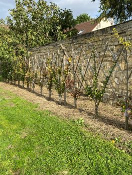 20251008 142406434 iOS