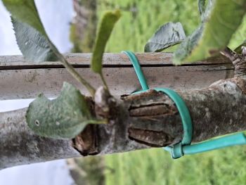 20251022 162753 entaille