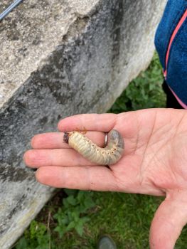 20251029 140653566 iOS trouvaille lucane