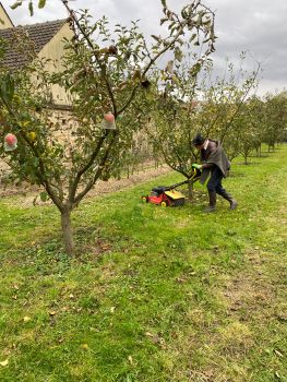 20251029 152304428 iOS tonte 3