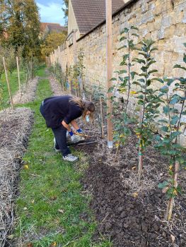 20251105 153300305 iOS ent pépinière