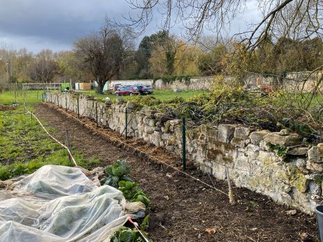 20251119 135722987 iOS fumure cordons