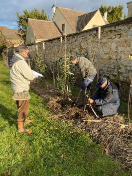 20251126 133426705 iOS Sélection des jeunes arbres
