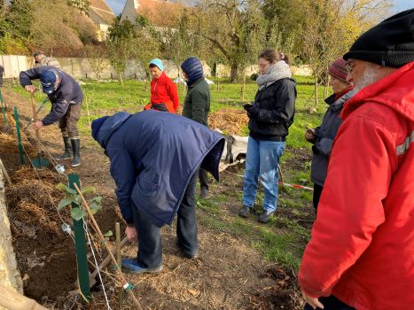 20251126 133858977 iOS Plantation 2