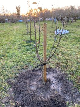 20251126 153907083 iOS preparation axes