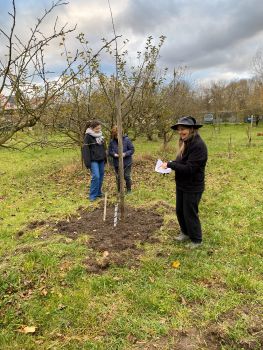 20251203 150139083 iOS reperage des arbres