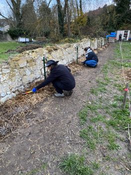 20251203 153535418 iOS finition cordons