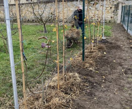 20251210 152018194 iOS Cergy 2