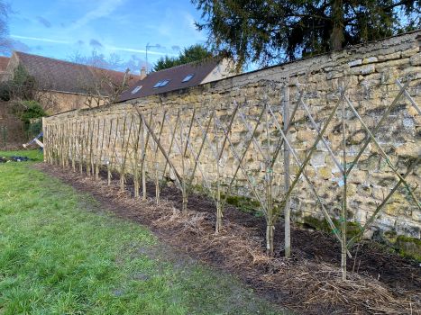 20260204 155449471 iOS