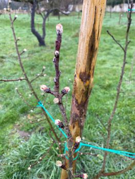 20260218 130901873 iOS