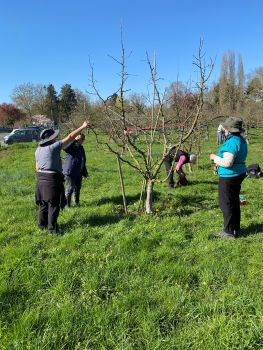 20260318 135214736 iOS